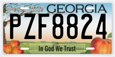 GA license plate PZF8824