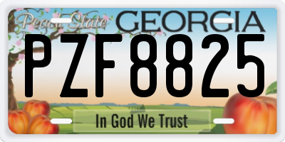 GA license plate PZF8825