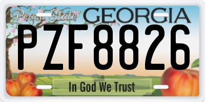 GA license plate PZF8826