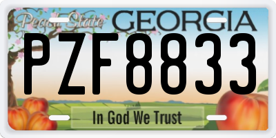 GA license plate PZF8833