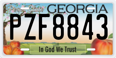 GA license plate PZF8843