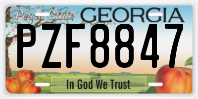 GA license plate PZF8847