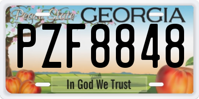 GA license plate PZF8848