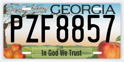 GA license plate PZF8857