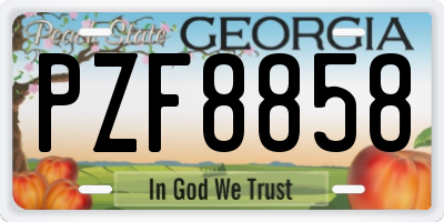 GA license plate PZF8858
