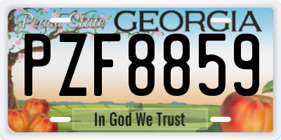GA license plate PZF8859