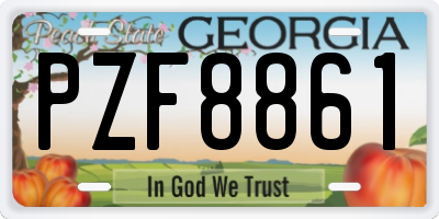 GA license plate PZF8861