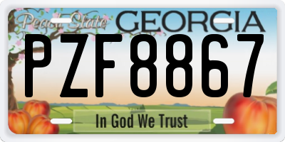GA license plate PZF8867