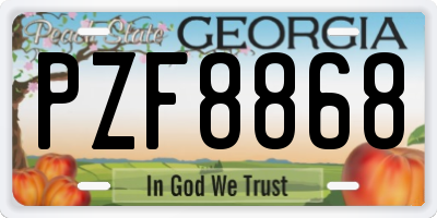 GA license plate PZF8868