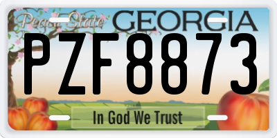 GA license plate PZF8873