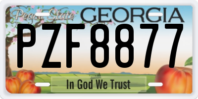 GA license plate PZF8877