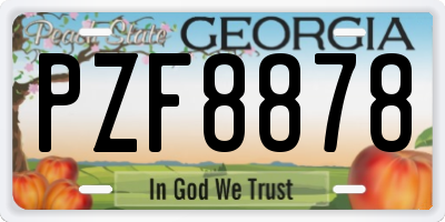 GA license plate PZF8878