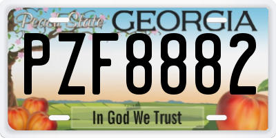 GA license plate PZF8882
