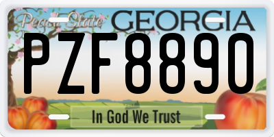 GA license plate PZF8890