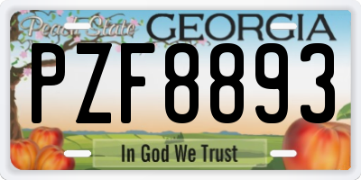 GA license plate PZF8893