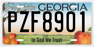 GA license plate PZF8901