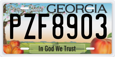 GA license plate PZF8903
