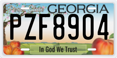 GA license plate PZF8904