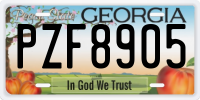 GA license plate PZF8905