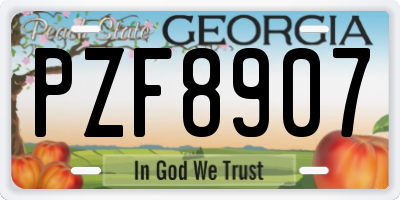 GA license plate PZF8907