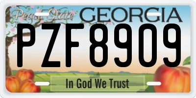 GA license plate PZF8909
