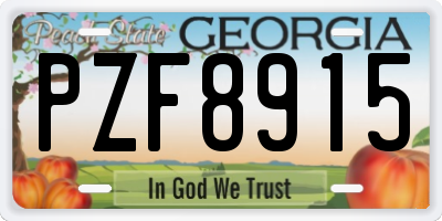 GA license plate PZF8915