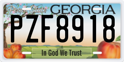 GA license plate PZF8918