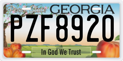 GA license plate PZF8920