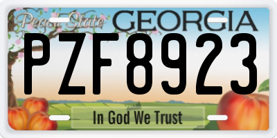GA license plate PZF8923