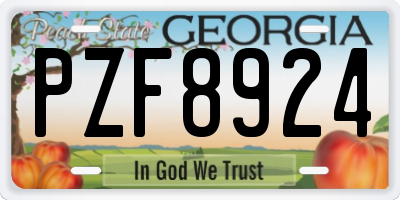 GA license plate PZF8924
