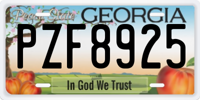 GA license plate PZF8925