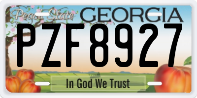 GA license plate PZF8927