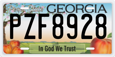 GA license plate PZF8928