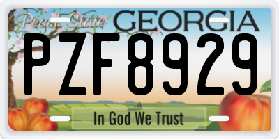 GA license plate PZF8929