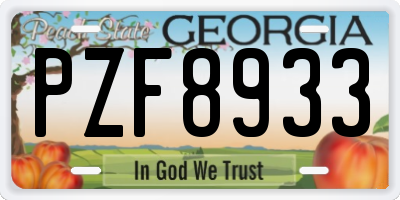 GA license plate PZF8933