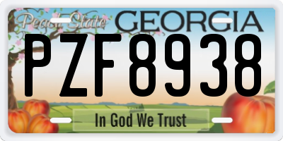 GA license plate PZF8938