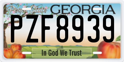 GA license plate PZF8939
