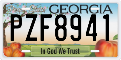 GA license plate PZF8941
