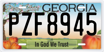 GA license plate PZF8945