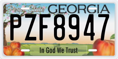 GA license plate PZF8947