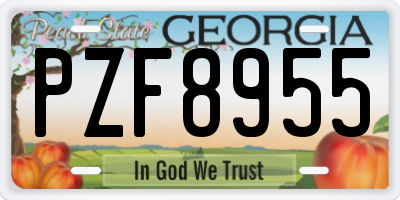 GA license plate PZF8955