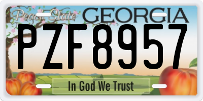 GA license plate PZF8957