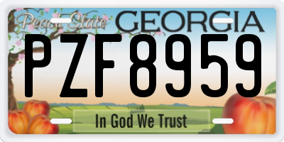 GA license plate PZF8959