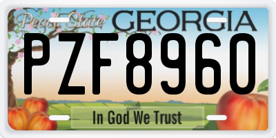 GA license plate PZF8960