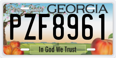GA license plate PZF8961