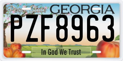 GA license plate PZF8963