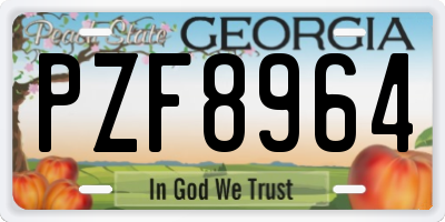 GA license plate PZF8964