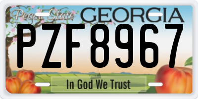 GA license plate PZF8967