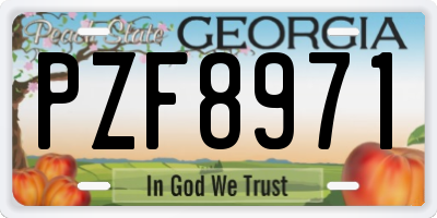 GA license plate PZF8971