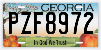 GA license plate PZF8972